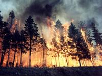 CAMPAGNA ANTINCENDIO, BENE MUSUMECI MA CONTRO IL RISCHIO DESERTIFICAZIONE SERVONO ANCHE ALTRE MISURE