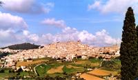 SEMINARIO S.I.A. A CALTAGIRONE, "OTTIMA INIZIATIVA, PERCHE' NON COINVOLGERE ANCHE LE FORZE SOCIALI?"